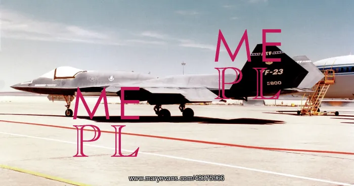 : Northrop Grumman YF-23A 87-800 : Northrop Grumman YF-23A 87-800