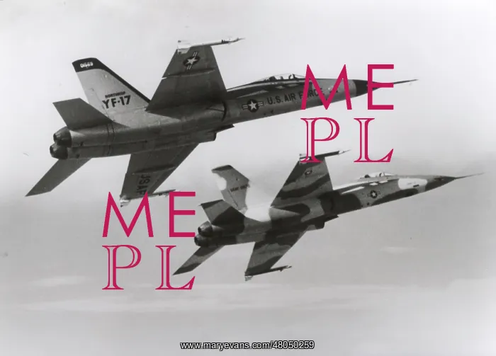 : Northrop YF-17 first and second prototypes : Northrop YF-17 first and second prototypes