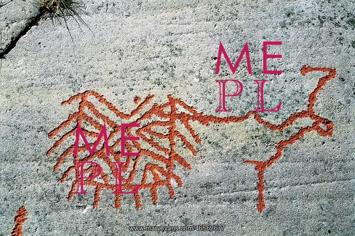  : NORWAY. FINNMARK. Petroglyphs of Alta. Rock No. 7. Neolithic art. Engraving