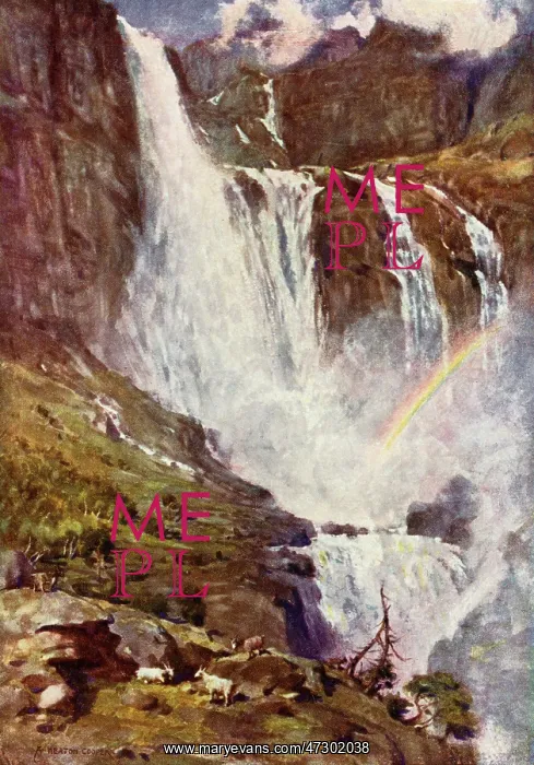  : NORWAY / HARDANGERFJORD