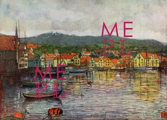  : NORWAY / MOLDE 1905