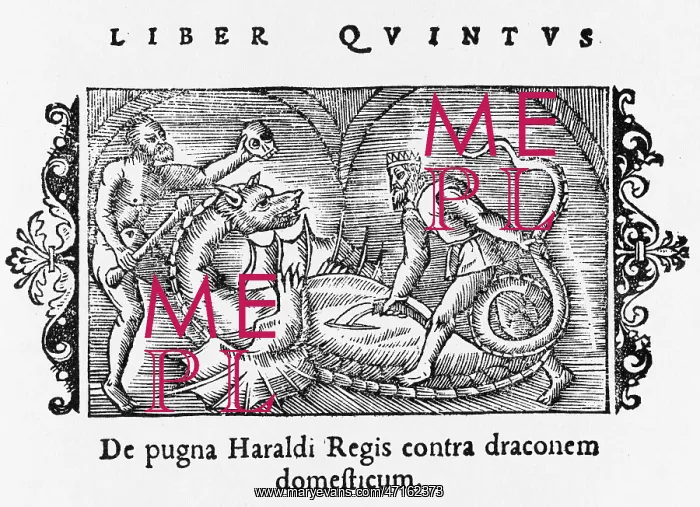 : Norwegian dragon slain by King Harold : Norwegian dragon slain by King Harold