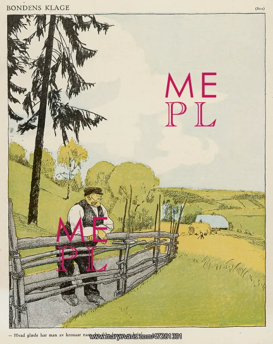 : NORWEGIAN FARMER : NORWEGIAN FARMER