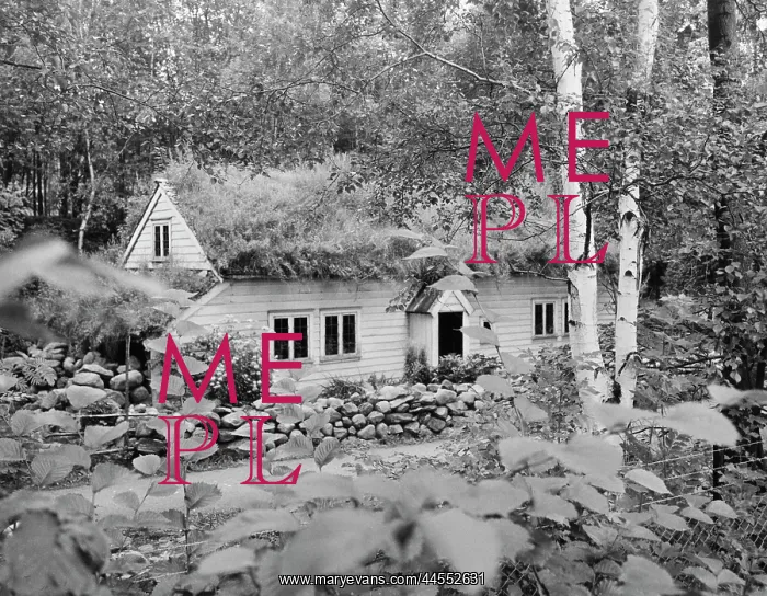 : NORWEGIAN HOUSE : NORWEGIAN HOUSE