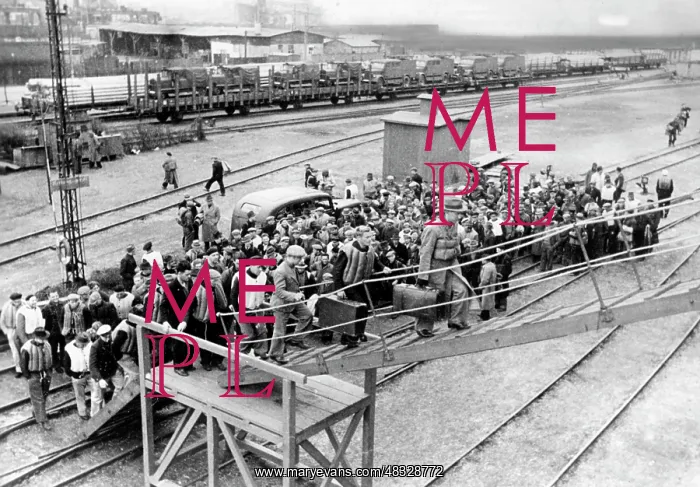 : Norwegian sailors are brought to Norway, 1941 : Norwegian sailors are brought to Norway, 1941