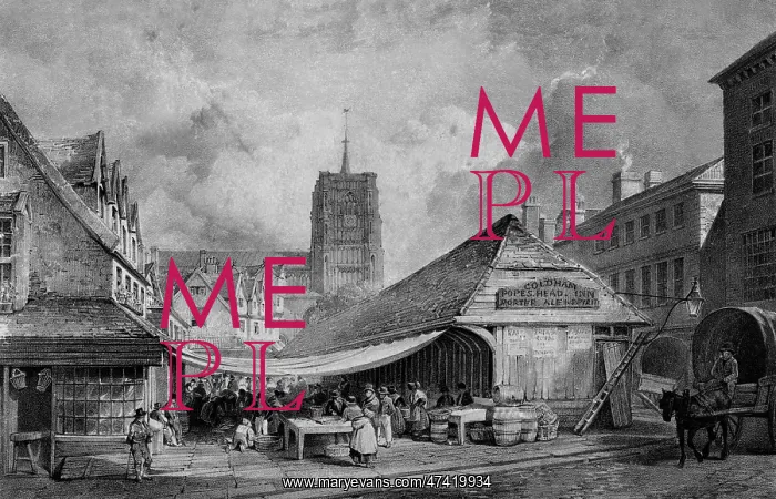  : Norwich. The old fish market at Norwich, Norfolk, at the close of the 18th century
