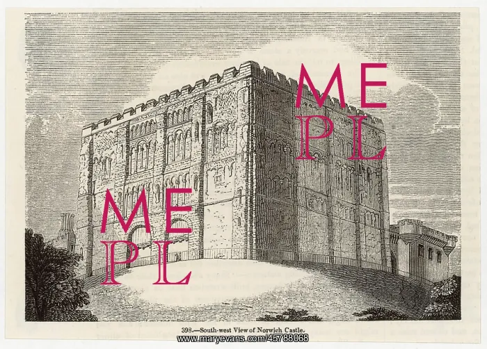  : NORWICH CASTLE / C1845