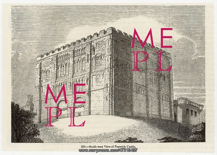  : NORWICH CASTLE / C1845