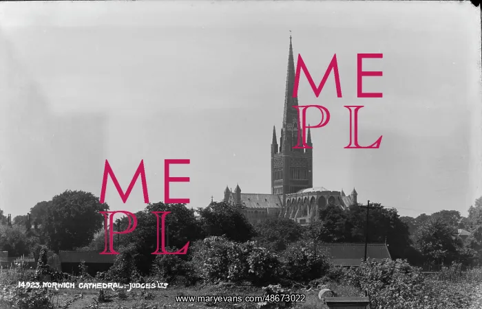 : Norwich Cathedral : Norwich Cathedral