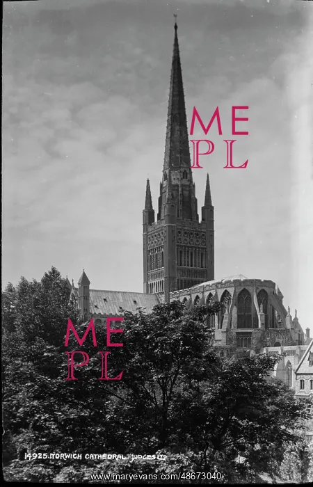 : Norwich Cathedral : Norwich Cathedral