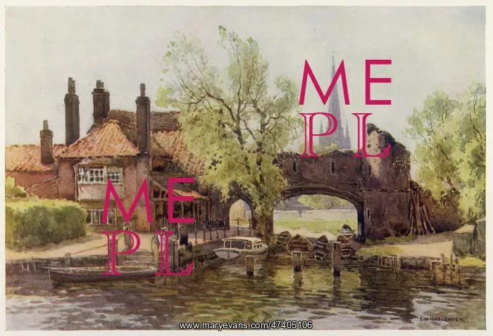 : NORWICH PULL'S FERRY : NORWICH PULL'S FERRY