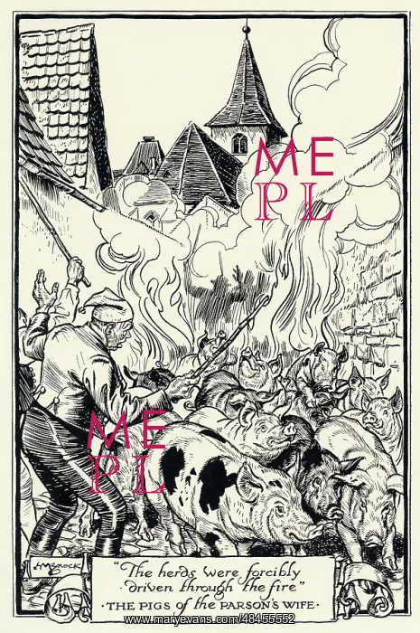 : NOT-FEUER & PIGS : NOT-FEUER & PIGS