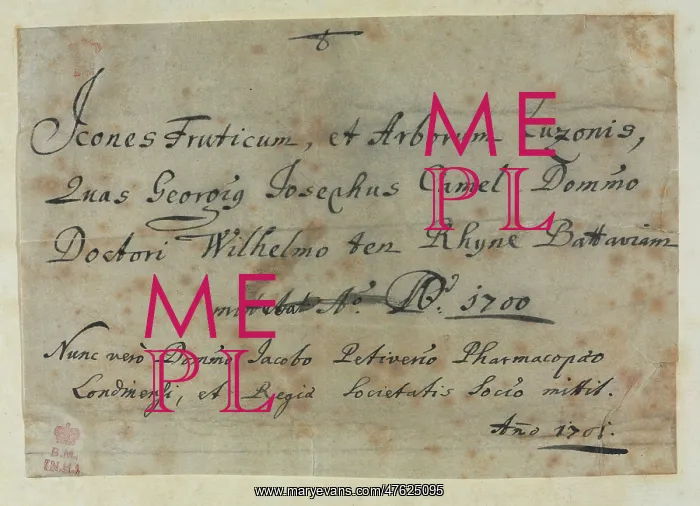 : Note from Descriptiones Fruticum et Arborum Luzonis : Note from Descriptiones Fruticum et Arborum Luzonis