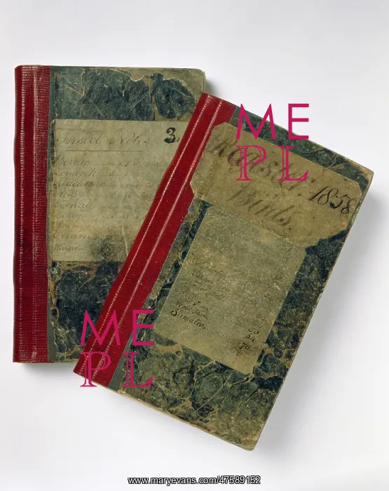 : The notebooks of Wallace : The notebooks of Wallace