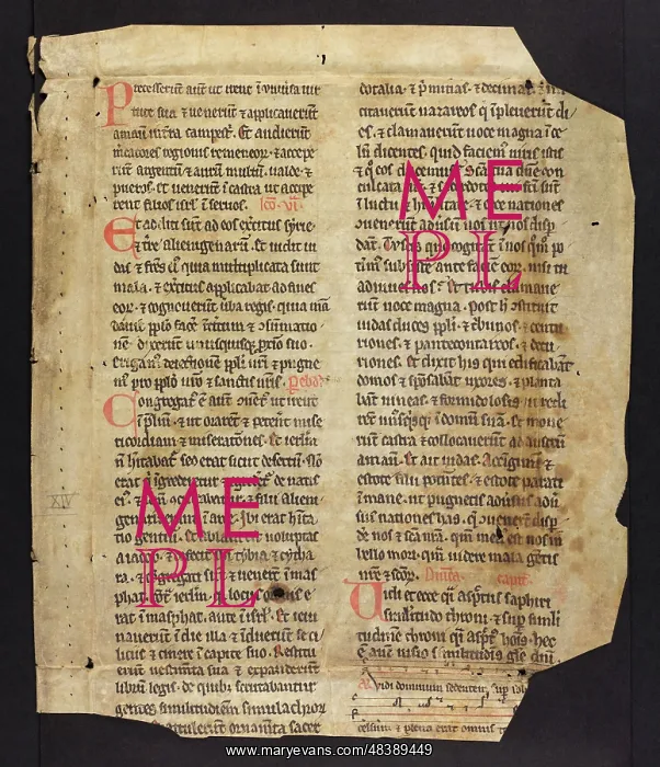 : Noted Breviary (Fragment) : Noted Breviary (Fragment)