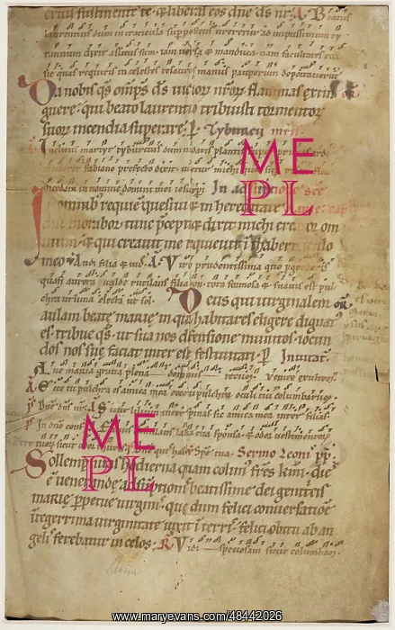 : Noted Breviary (Fragment) : Noted Breviary (Fragment)