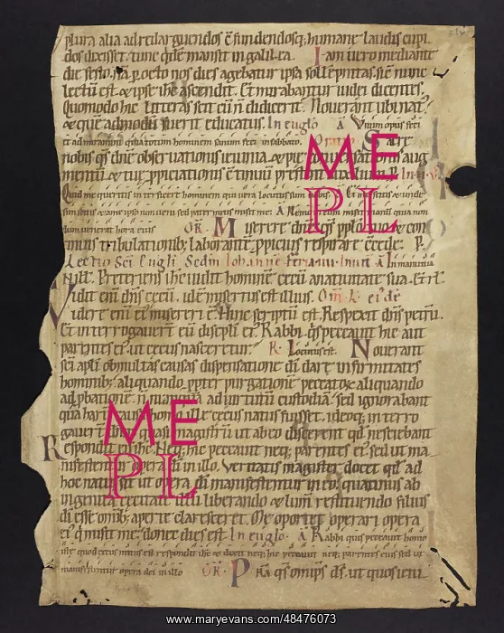 : Noted Breviary (Fragment) : Noted Breviary (Fragment)