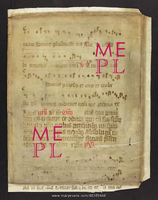 : Noted Missal (Fragment) : Noted Missal (Fragment)
