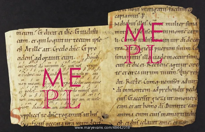 : Noted Missal (Fragment) : Noted Missal (Fragment)