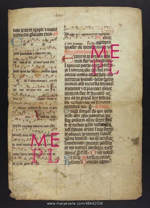 : Noted Missal (Fragment) : Noted Missal (Fragment)