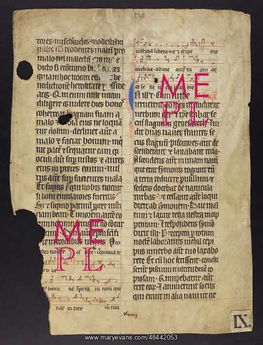 : Noted Missal (Fragment) : Noted Missal (Fragment)