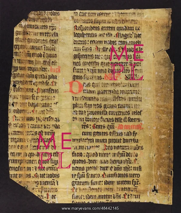 : Noted Missal (Fragment) : Noted Missal (Fragment)