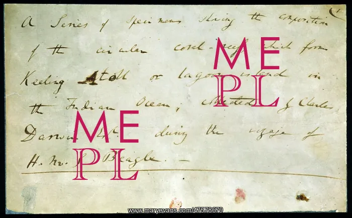 : Notes made by Darwin : Notes made by Darwin
