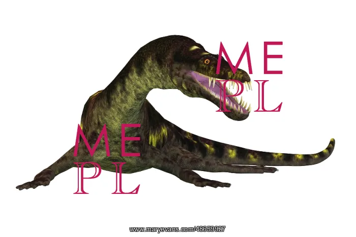 : Nothosaurus aquatic reptile, front view on white background : Nothosaurus aquatic reptile, front view on white background