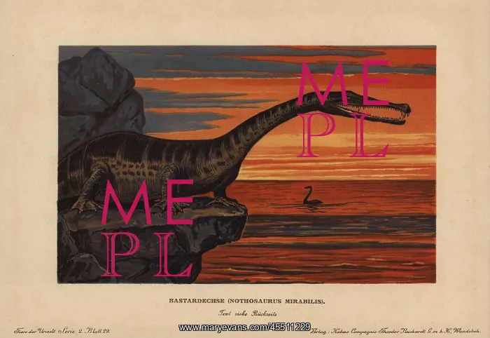 : Nothosaurus mirabilis, extinct sauropterygian : Nothosaurus mirabilis, extinct sauropterygian