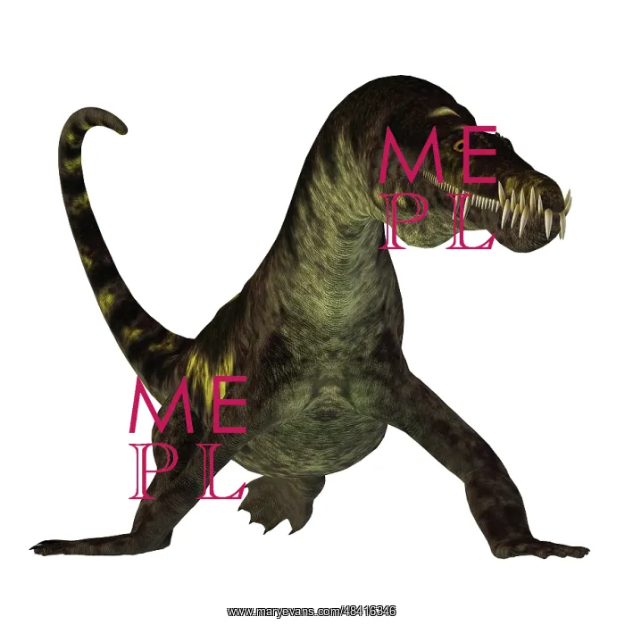 : Nothosaurus reptile, front view : Nothosaurus reptile, front view