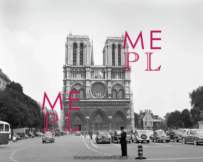 : Notre Dame Cathedral Single Anonymous Silhouetted : Notre Dame Cathedral Single Anonymous Silhouetted