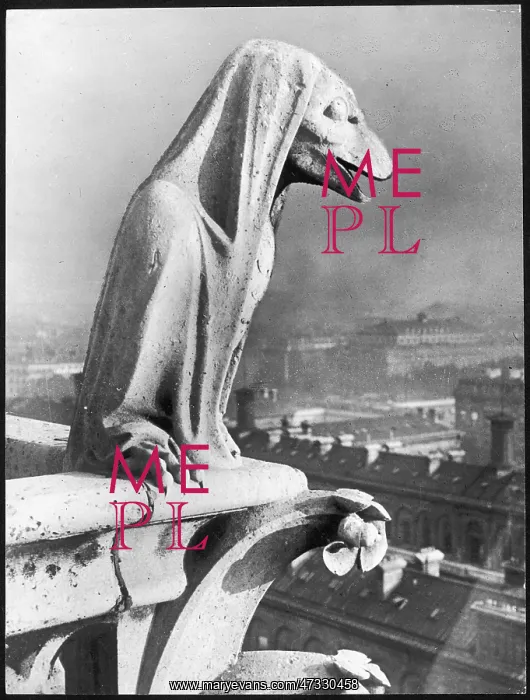  : NOTRE DAME GARGOYLE 1930