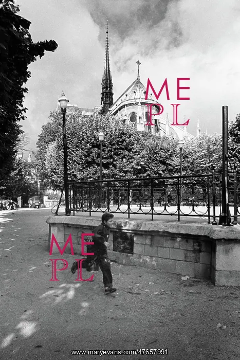 : Notre Dame, Paris : Notre Dame, Paris