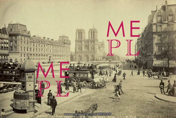  : Notre Dame, Paris