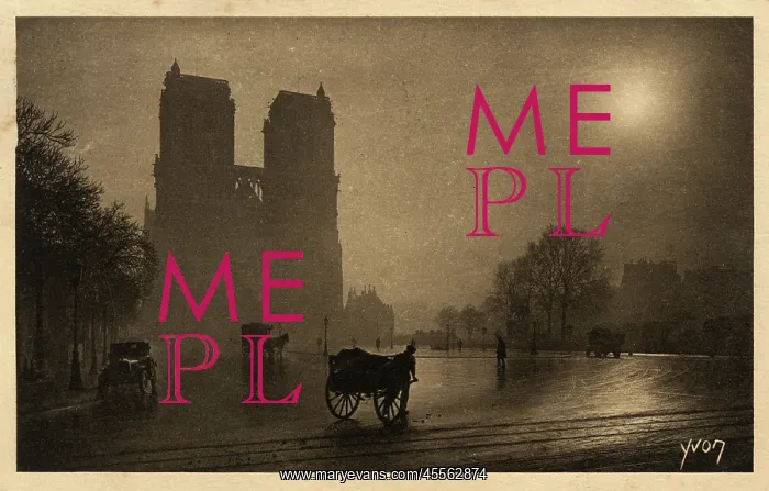 : Notre Dame - Paris - Misty Morning Light : Notre Dame - Paris - Misty Morning Light