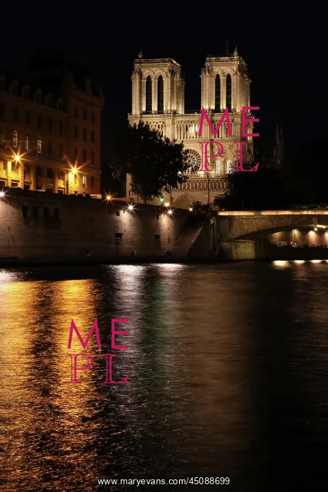 : Notre Dame de Paris at night, seen from the quai : Notre Dame de Paris at night, seen from the quai