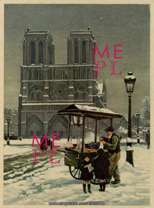 : Notre Dame, Paris, in the snow : Notre Dame, Paris, in the snow