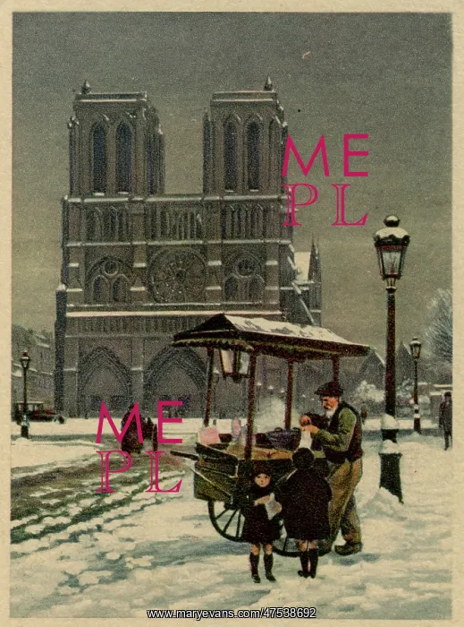 : Notre Dame, Paris, in the snow : Notre Dame, Paris, in the snow