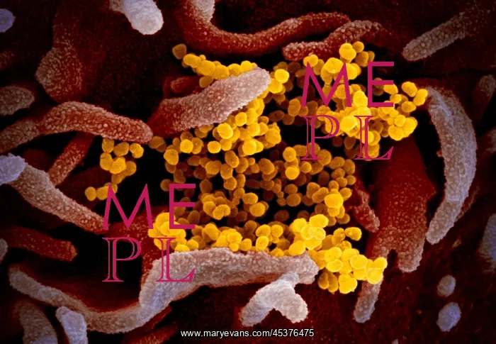 : Novel Coronavirus SARS-CoV-2, causes coronavirus : Novel Coronavirus SARS-CoV-2, causes coronavirus