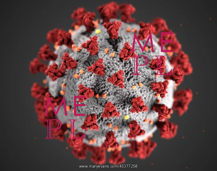 : Novel Coronavirus SARS-CoV-2, causes coronavirus : Novel Coronavirus SARS-CoV-2, causes coronavirus