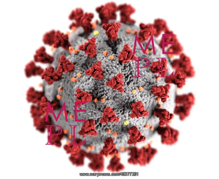 : Novel Coronavirus SARS-CoV-2, causes coronavirus : Novel Coronavirus SARS-CoV-2, causes coronavirus