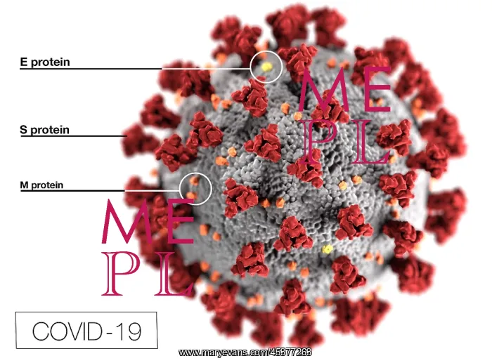 : Novel Coronavirus SARS-CoV-2, causes coronavirus : Novel Coronavirus SARS-CoV-2, causes coronavirus