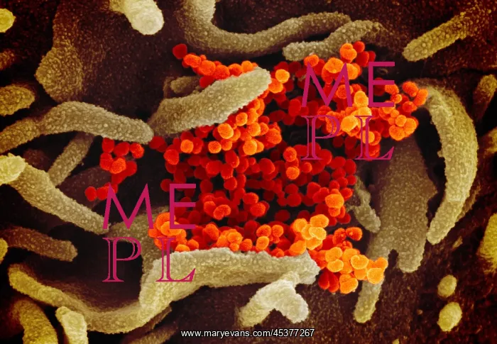 : Novel Coronavirus SARS-CoV-2, causes coronavirus : Novel Coronavirus SARS-CoV-2, causes coronavirus