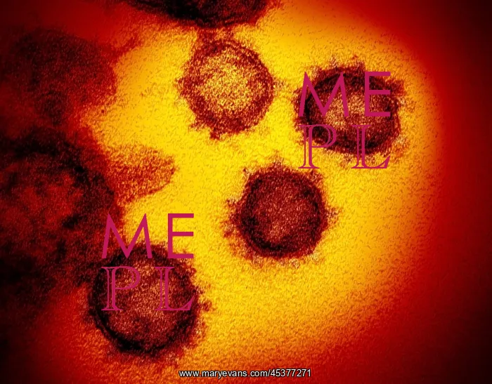 : Novel Coronavirus SARS-CoV-2, causes coronavirus : Novel Coronavirus SARS-CoV-2, causes coronavirus