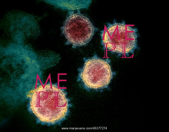 : Novel Coronavirus SARS-CoV-2, causes coronavirus : Novel Coronavirus SARS-CoV-2, causes coronavirus