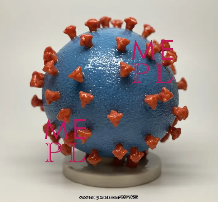 : Novel Coronavirus SARS-CoV-2, causes coronavirus : Novel Coronavirus SARS-CoV-2, causes coronavirus