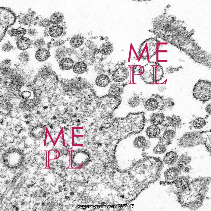 : Novel Coronavirus SARS-CoV-2, causes coronavirus : Novel Coronavirus SARS-CoV-2, causes coronavirus