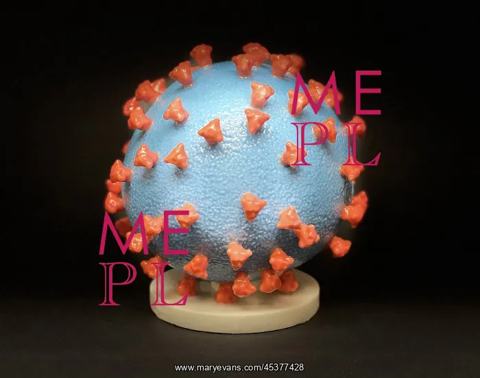 : Novel Coronavirus SARS-CoV-2, causes coronavirus : Novel Coronavirus SARS-CoV-2, causes coronavirus