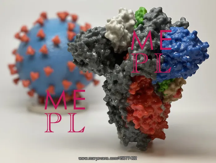 : Novel Coronavirus SARS-CoV-2, causes coronavirus : Novel Coronavirus SARS-CoV-2, causes coronavirus