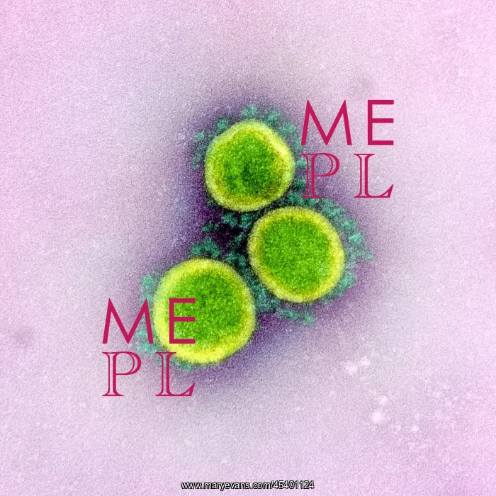 : Novel Coronavirus SARS-CoV-2, the virus that causes : Novel Coronavirus SARS-CoV-2, the virus that causes